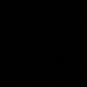 Meet your Posher, Daisy